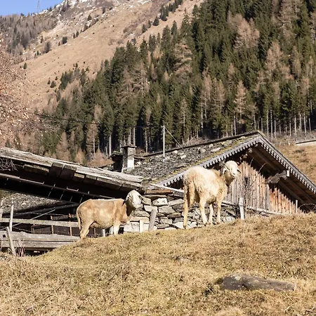 Charming Chalet-style Feeder House Matrei in Osttirol